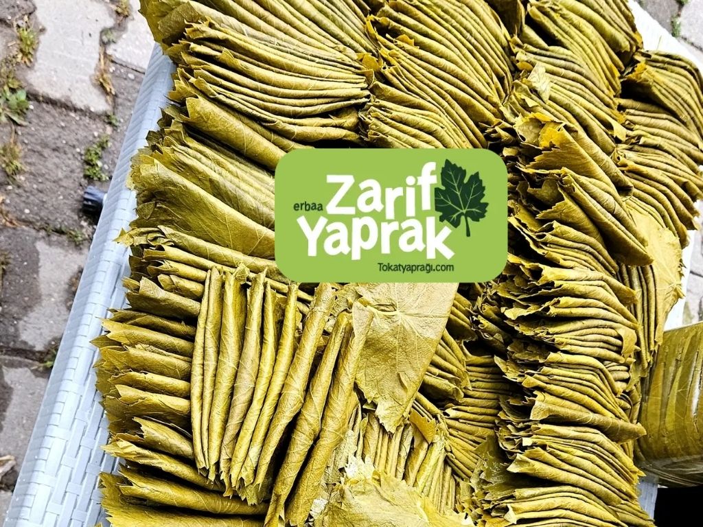 Geleneksel Yemek Kültürünün Eşsiz Tokat yaprağı Üzerine Her Edilenler