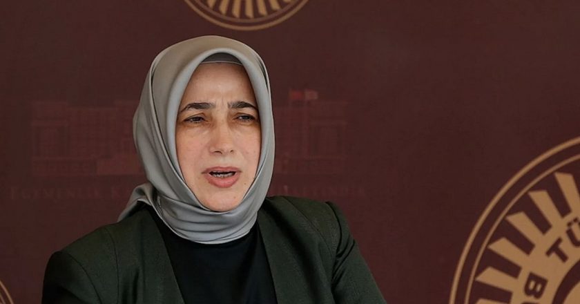 AK Partili Zengin, tahliye edilen Dilruba Kayserilioğlu’nun hâlâ ceza alabileceğini söyledi.