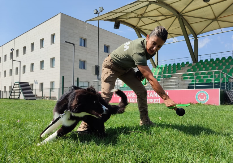 Bakanlık dedektörünün köpekleri ile 4.1 ton ilaç ele geçirildi