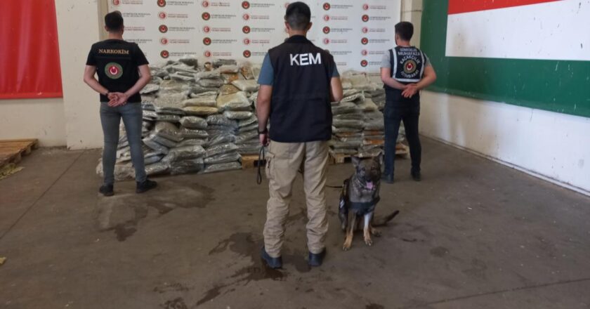 Bakanlık dedektörünün köpekleri ile 4.1 ton ilaç ele geçirildi