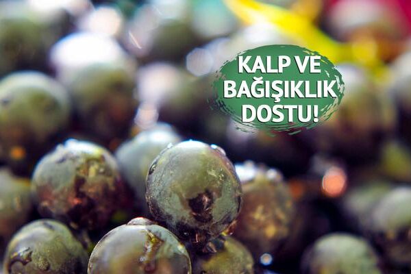 Binlerce yıllık şifa kaynağı: Yorgunluğu azaltır, kan basıncını düzenler! Faydaları say say bitmiyor