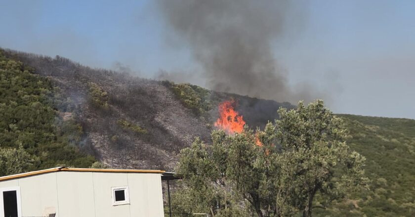Bursa’da çıkan orman yangınına havadan ve karadan müdahale ediliyor