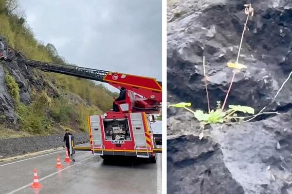 Kayalıklardan sarkan kablolar korkuttu, ekipler harekete geçti! 19 yıllık gerçek sonradan ortaya çıktı