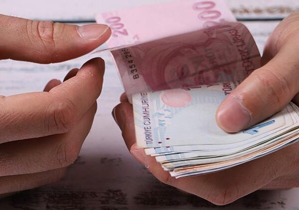 Tarımsal destek ödemeleri hesaplara yatıyor