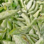 Göz sağlığınızı koruyun: Retina için en etkili savunma!