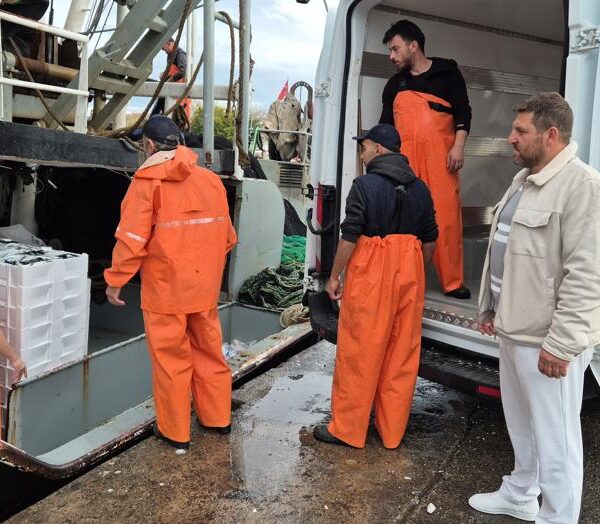 Limanda büyük operasyon: Yüzlerce kasa ele geçirildi!