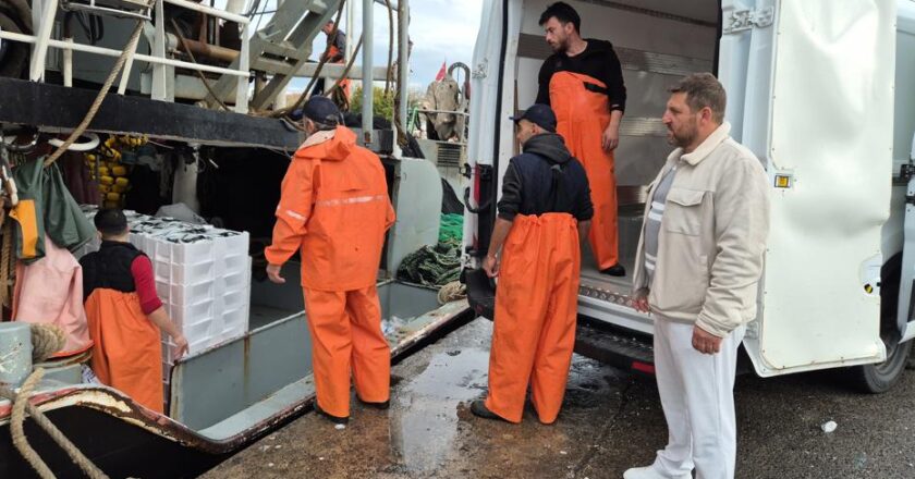 Limanda büyük operasyon: Yüzlerce kasa ele geçirildi!